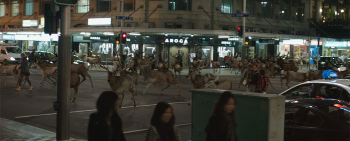 deer_in_the_road_a